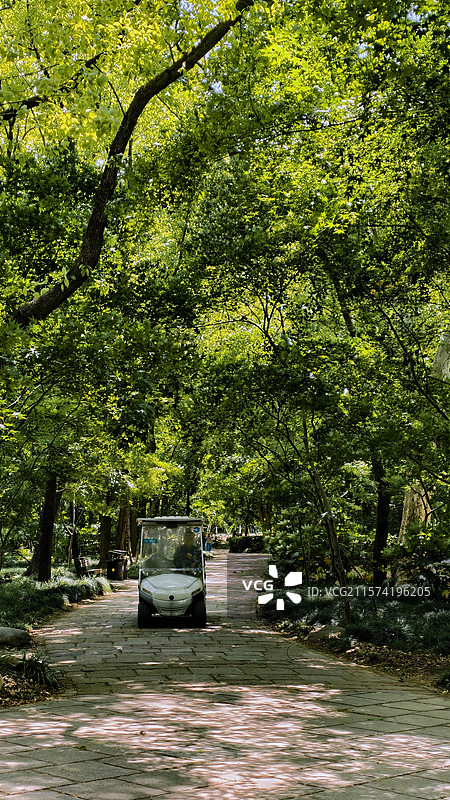 上海共青森林公园图片素材