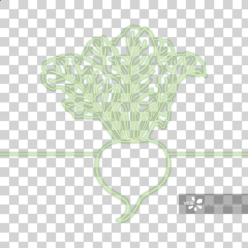 连续线条绘制的甜菜根图标霓虹概念图片素材