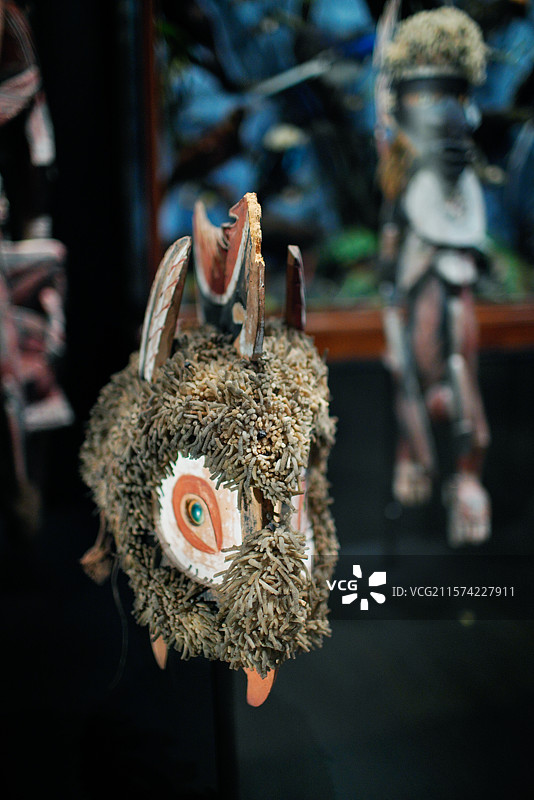 在澳洲悉尼的悠闲时光图片素材