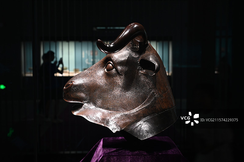 圆明园牛首铜像图片素材