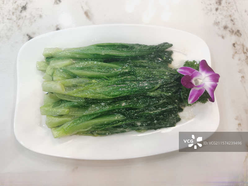 油麦菜图片素材