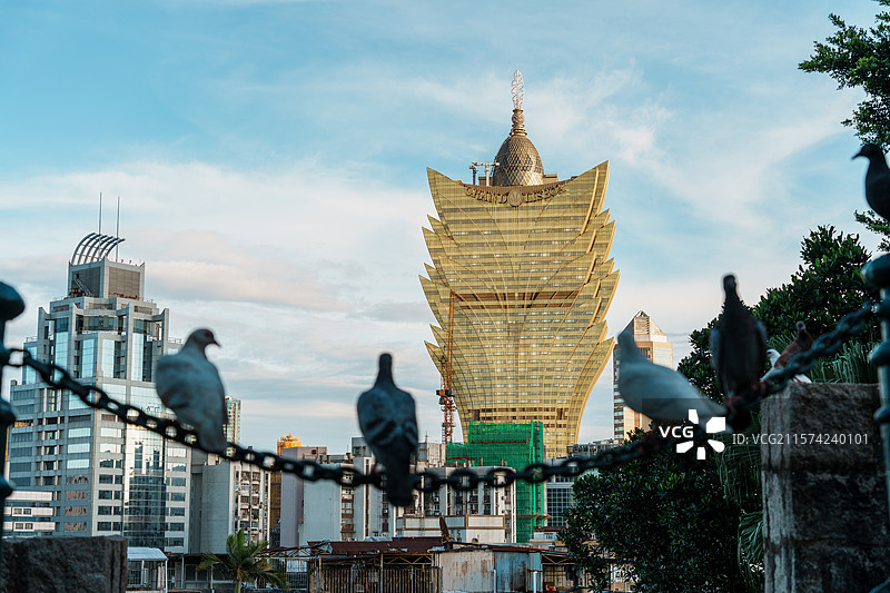 蓝天下的澳门新葡京酒店与白鸽图片素材