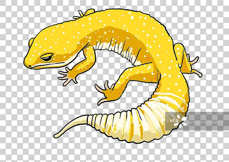 可爱爬宠柠檬黄豹纹守宫卡通写实形象免抠元素图片素材