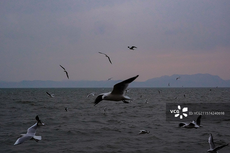 昆明-捞鱼河湿地公园图片素材