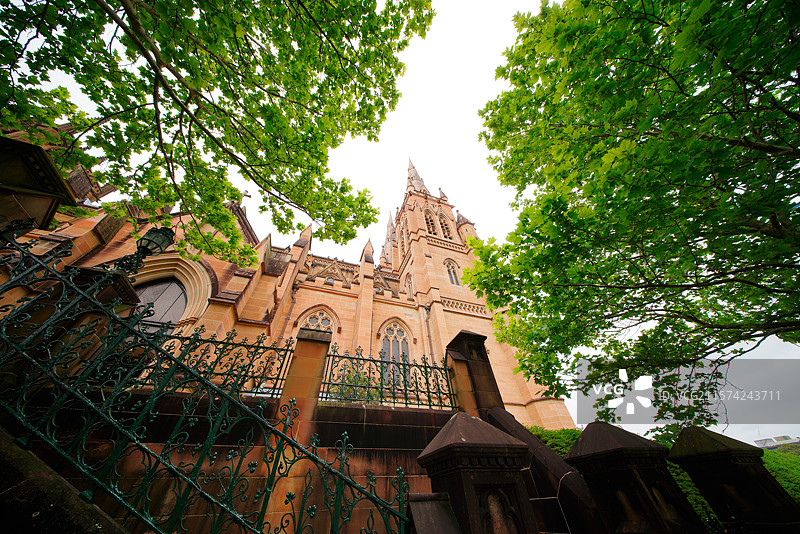 在澳洲悉尼的悠闲时光图片素材