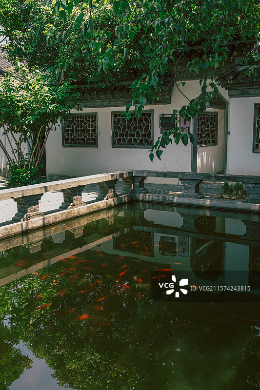 小院观鱼图片素材