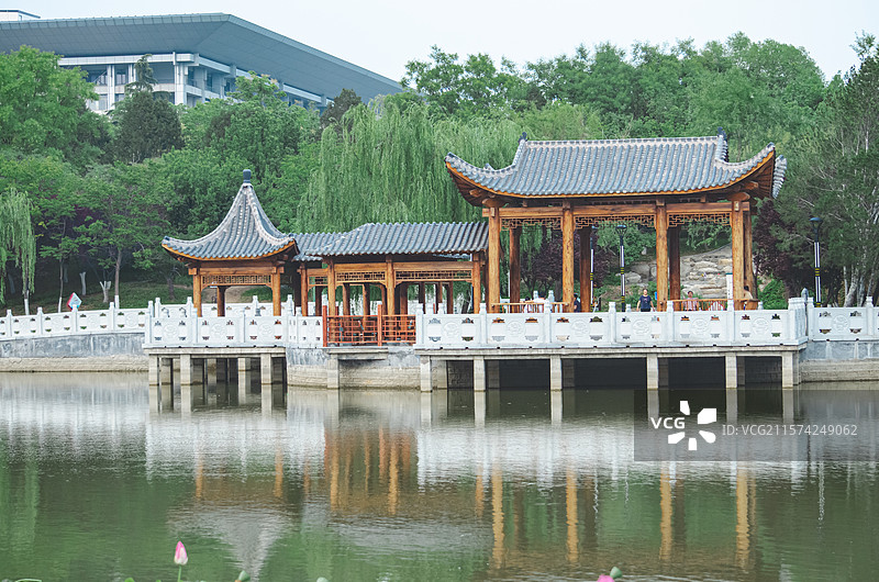 中国野生植物水生植物拍摄主题，室外公园荷塘湖水中清新美丽的荷花与荷叶，户外无人图像摄影图片素材