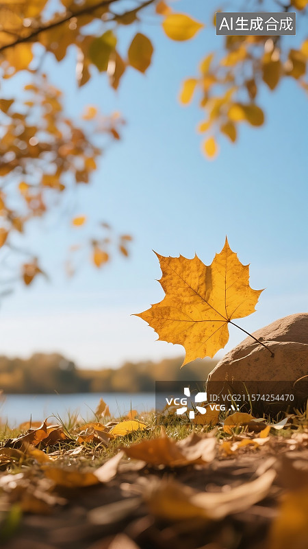 【AI数字艺术】秋天枫叶森林树木飘落立秋秋分节气自然场景插画图片素材