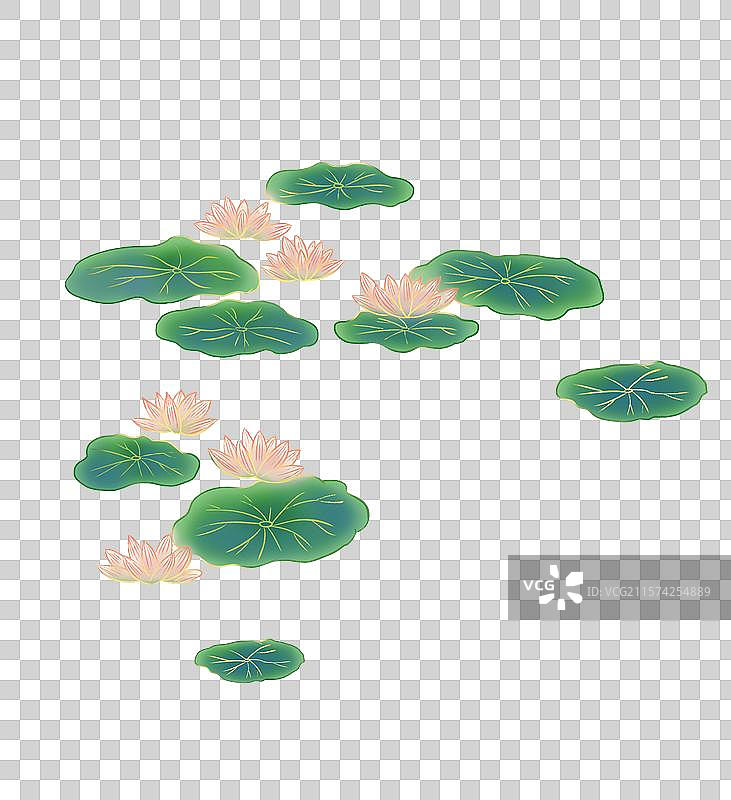夏天荷叶荷花睡莲插画免抠元素图片素材
