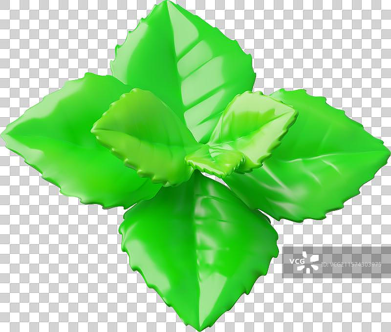3D薄荷叶绿色植物图片素材