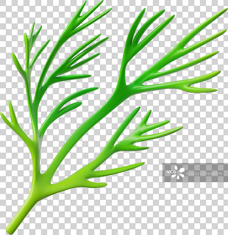 3D图标：一枝绿色的莳萝，以其著称图片素材