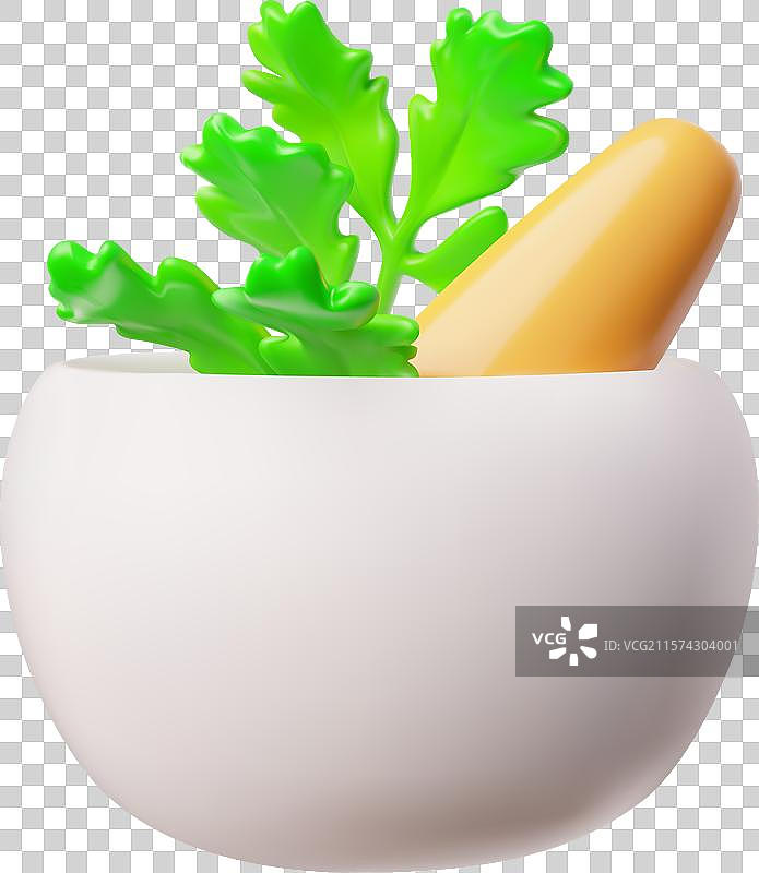 绿色香菜的3D研钵和图片素材