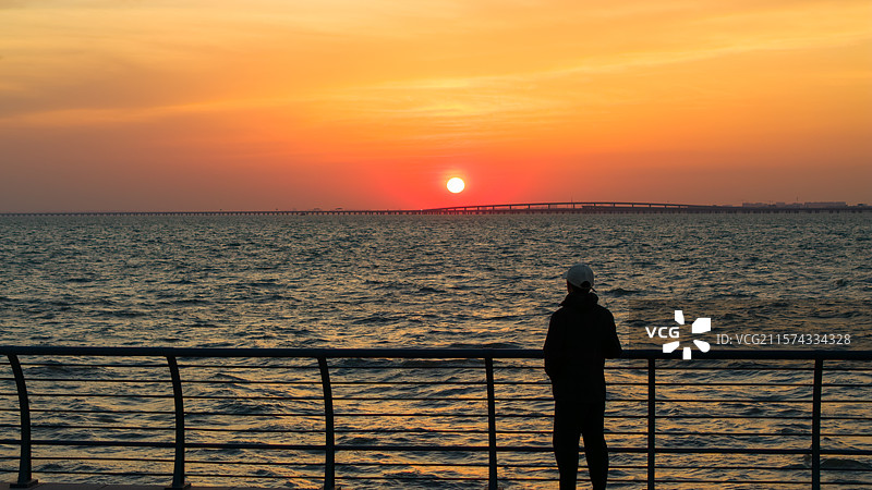 站在海边观赏日落的人物背影，青岛胶州湾跨海大桥图片素材