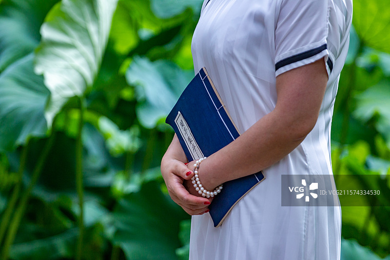 四川省绵阳市户外荷花，莲藕，荷叶，睡莲图片素材