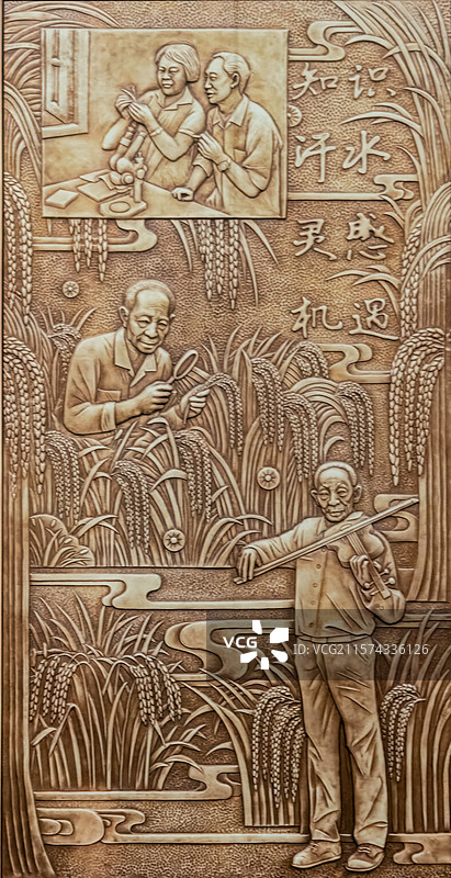 壁画，浮雕，袁隆平的梦图片素材