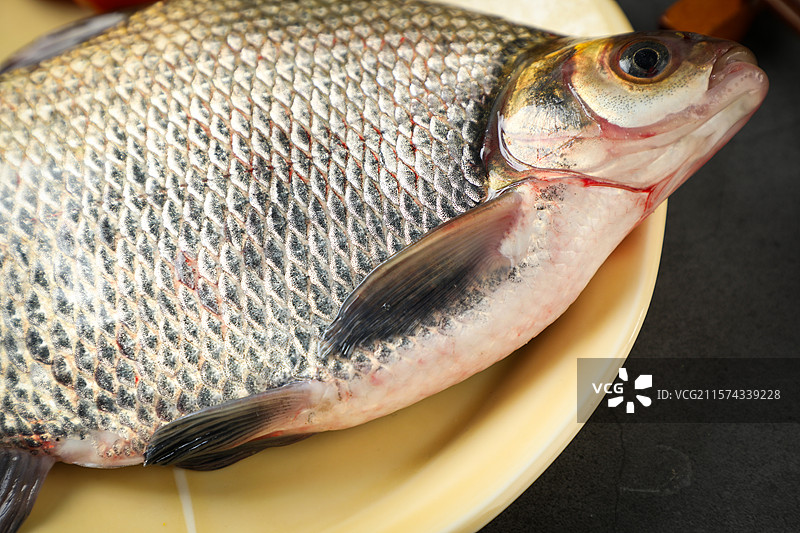 武昌鱼图片素材