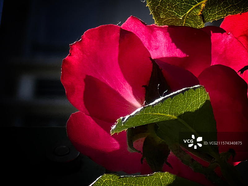 红・光痕图片素材