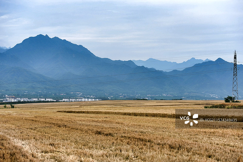 西安市长安区中江兆村万亩麦田图片素材