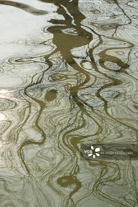 水波纹。水中树扭曲的倒影。反射。河水。湖面。公园。河北园博园图片素材