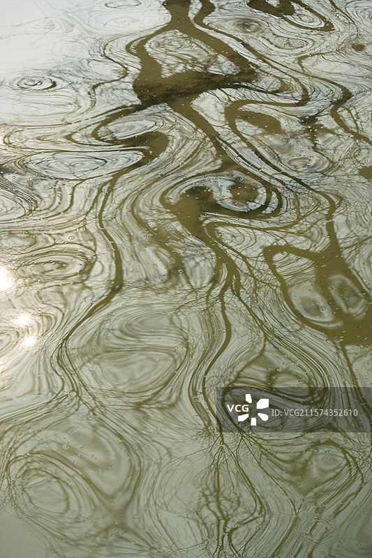 水波纹。水中树扭曲的倒影。反射。河水。湖面。公园。河北园博园图片素材