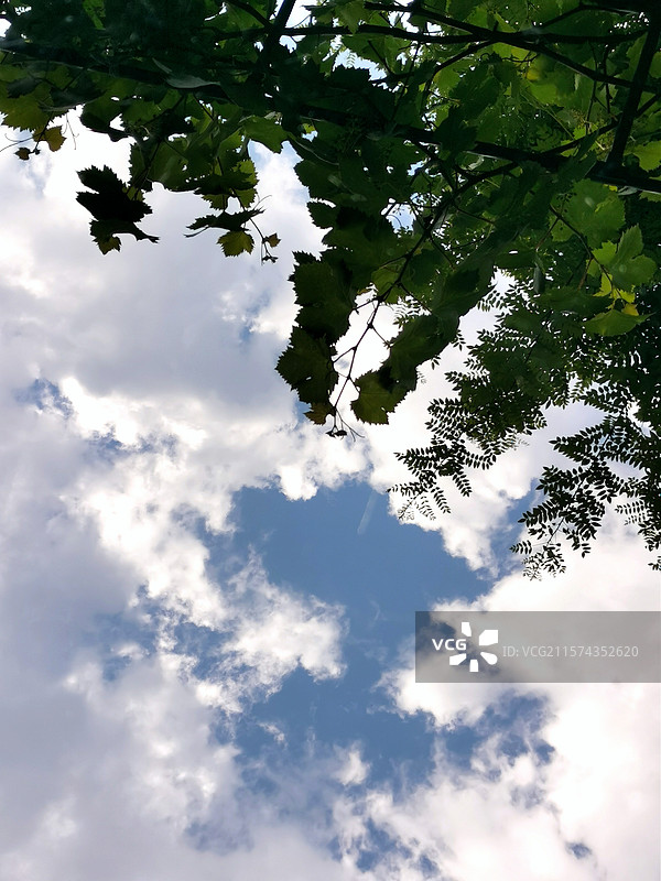 蓝天白云倒映在玻璃桌面上图片素材