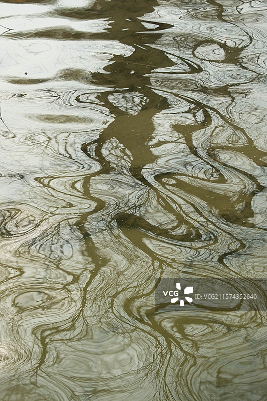 水波纹。水中树扭曲的倒影。反射。河水。湖面。公园。河北园博园图片素材