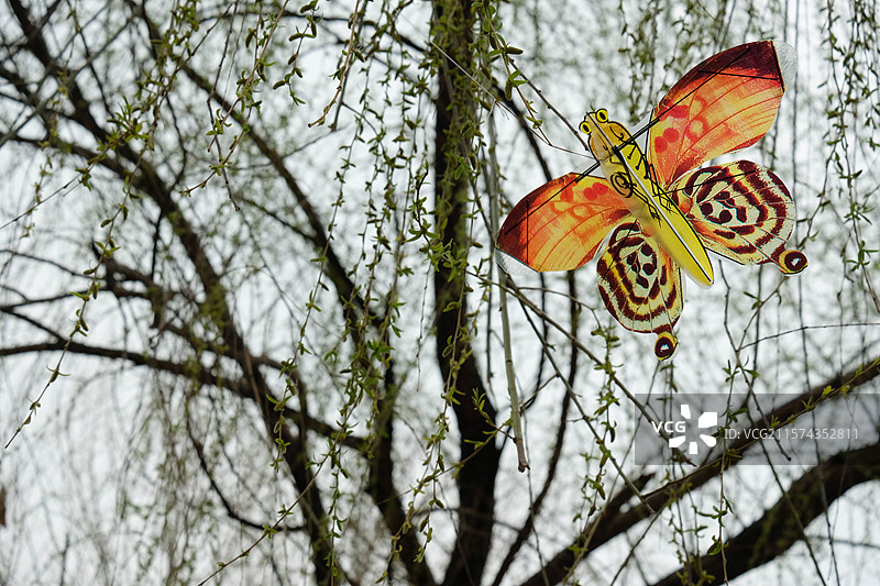 春天里的蝴蝶风筝。立春。初春。早春。风景。自然风光背景图图片素材