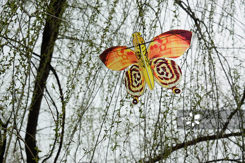 春天里的蝴蝶风筝。立春。初春。早春。风景。自然风光背景图图片素材