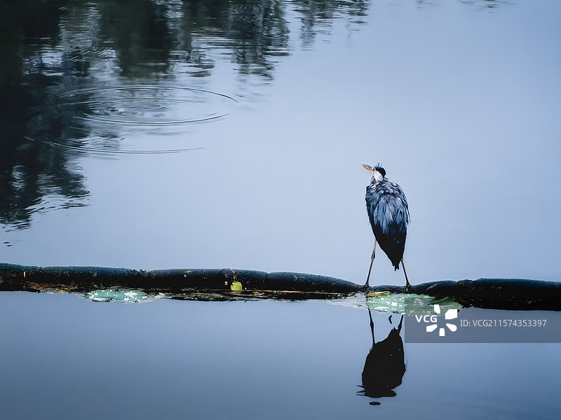 北京奥林匹克森林公园风光图片素材