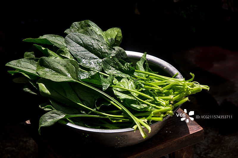 一盆刚洗好的菠菜图片素材
