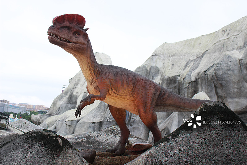 上海海昌海洋公园冰川恐龙山图片素材