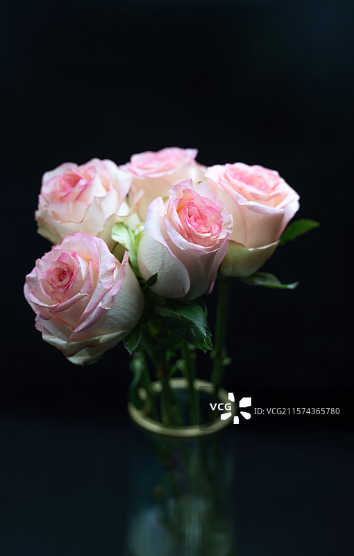 黑色背景下花瓶里玫瑰的特写镜头图片素材
