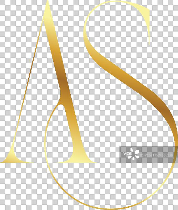 优雅金色字母A和S的单字母组合标志图片素材