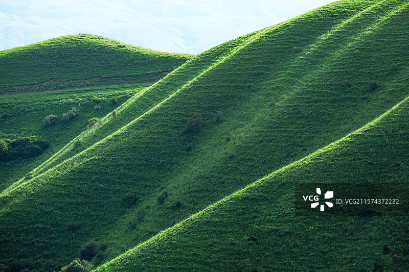 新疆伊犁“那拉提”草原图片素材