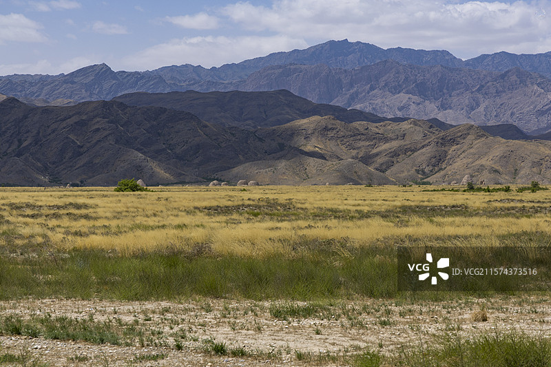 2025.6.15，西夏博物馆，汽车广告背景图。图片素材