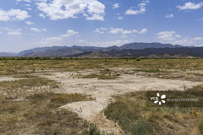 2025.6.15，西夏博物馆，汽车广告背景图。图片素材