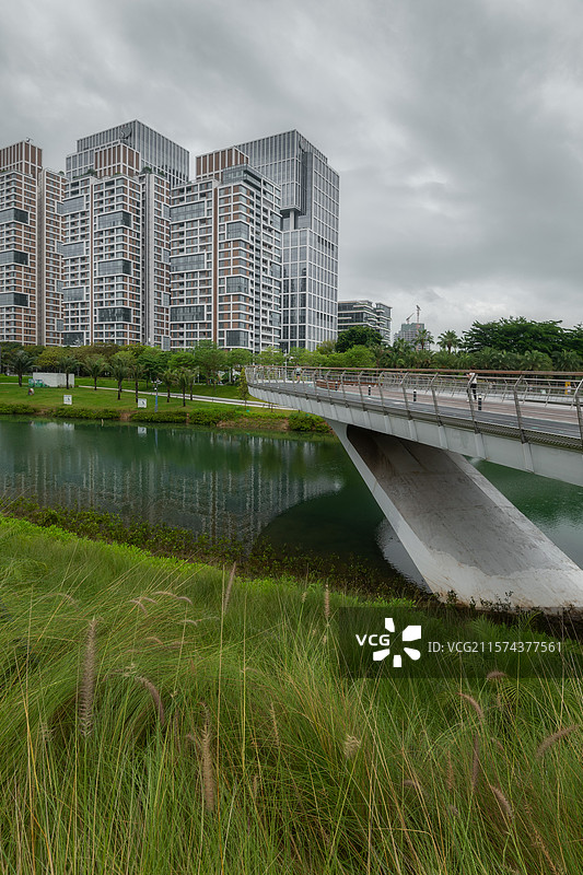 深圳前海桂湾公园的桥梁及周边景色图片素材