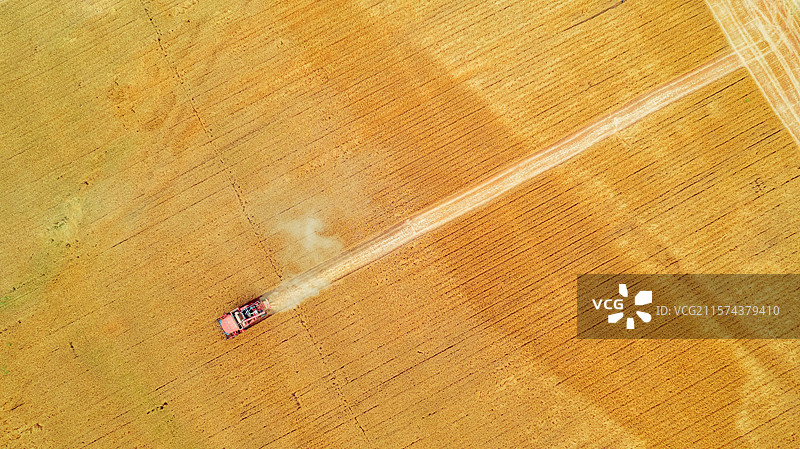 俯瞰金色麦田麦收图片素材