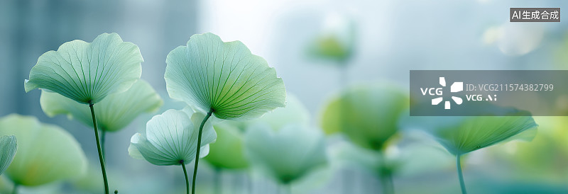 【AI数字艺术】阳光照射下的荷叶绿叶植物的特写图片素材