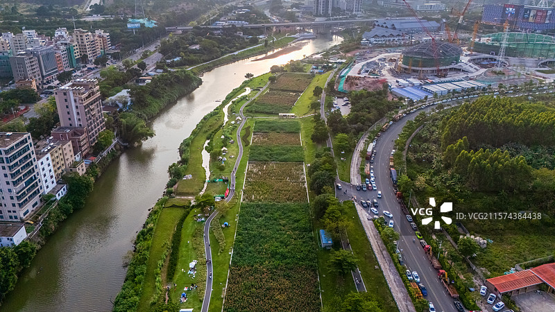 惠州大亚湾淡澳河生态湿地公园露营散步的人们图片素材