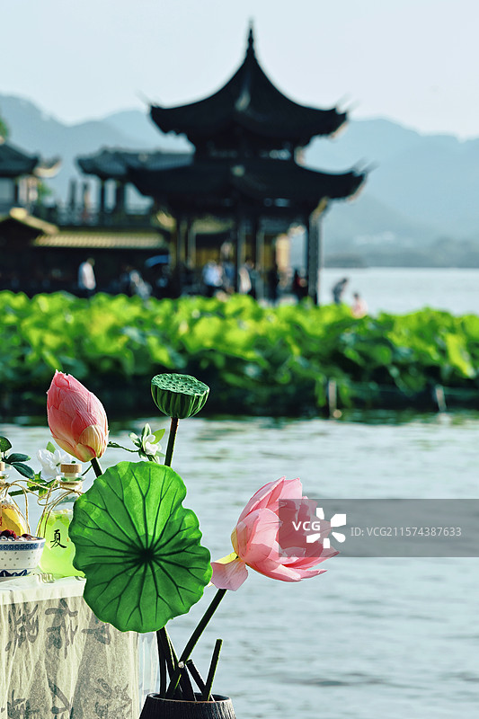 夏日西湖图片素材