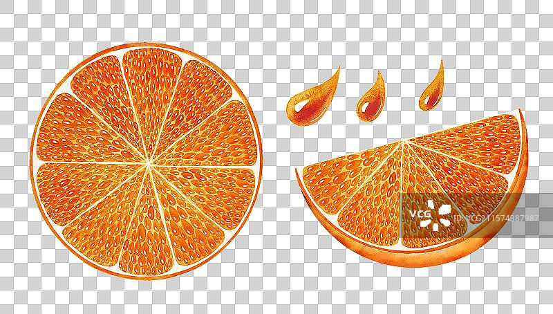 橙子切片插画免抠元素图片素材