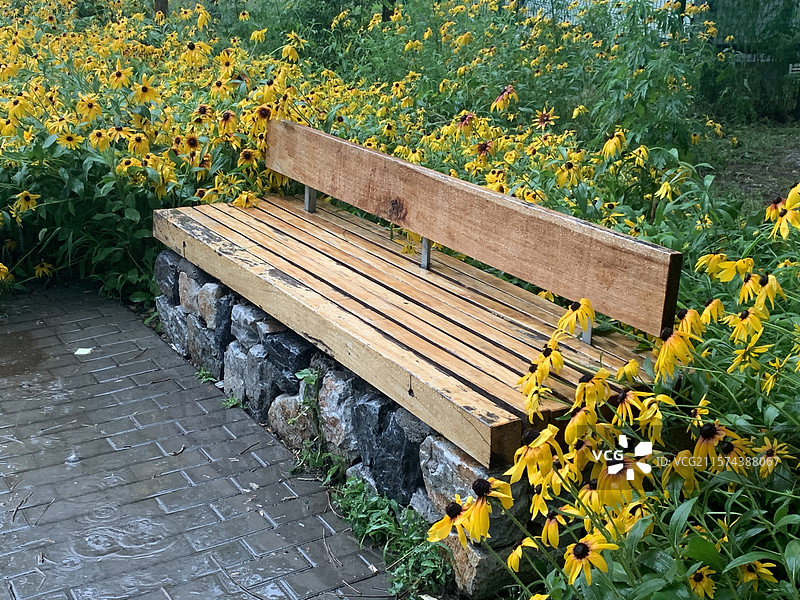 公园里被花丛包围的长椅图片素材