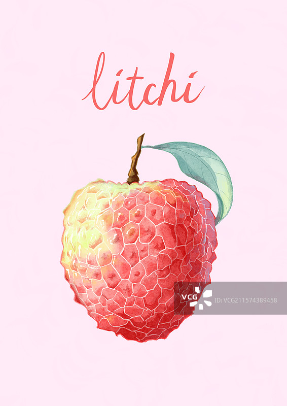 荔枝图片素材