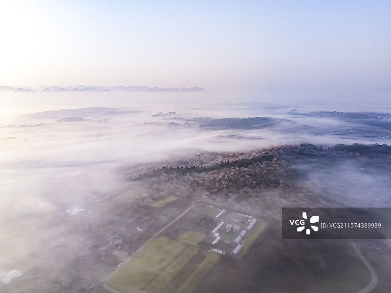 航拍贵安樱花日出晨雾云海图片素材