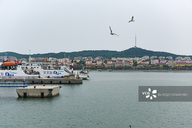 烟台长岛港口海岸海鸥飞翔海景风光图片素材