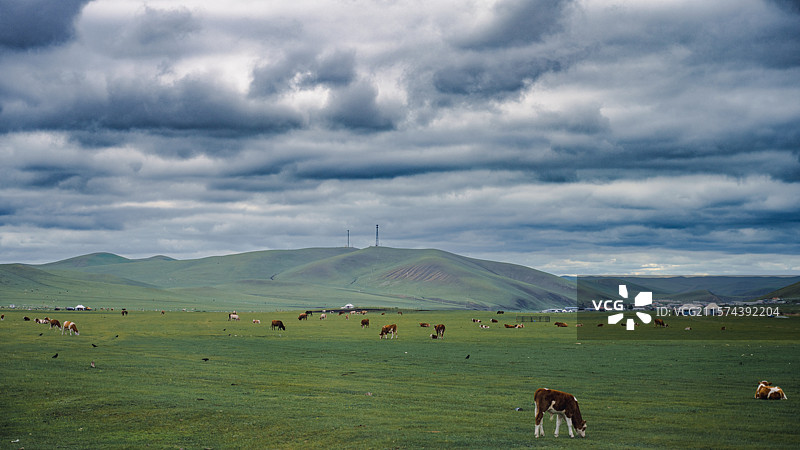 牧场图片素材