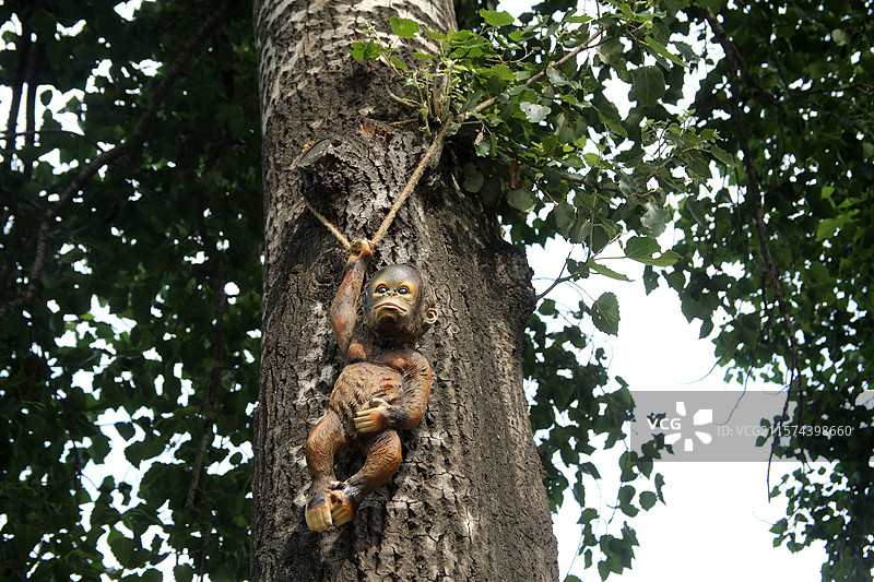 具有艺术美的树洞中卡通动物的雕塑图片素材