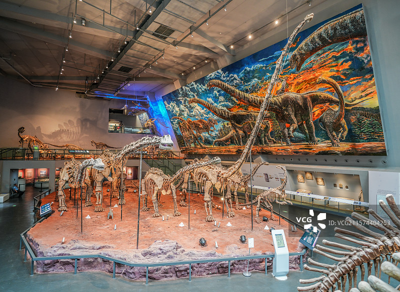 重庆自然博物馆图片素材