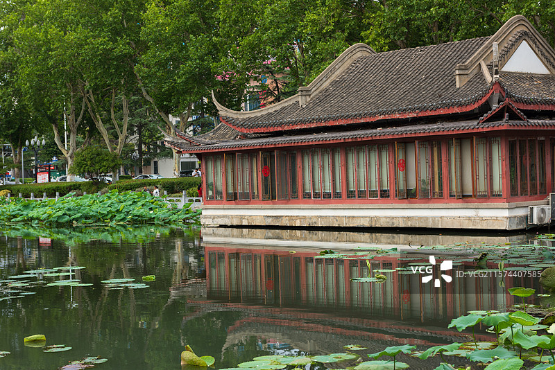 湖北襄阳荟园夏日荷花风景图片素材